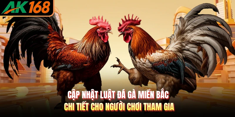 Cập nhật luật đá gà miền Bắc chi tiết cho người chơi tham gia