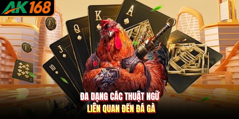 Đa dạng các thuật ngữ liên quan đến đá gà
