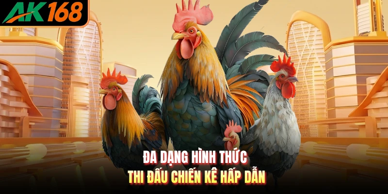 Đa dạng hình thức thi đấu chiến kê hấp dẫn