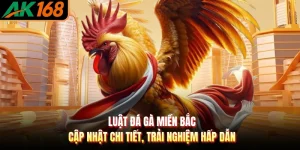 Luật Đá Gà Miền Bắc - Cập Nhật Chi Tiết, Trải Nghiệm Hấp Dẫn