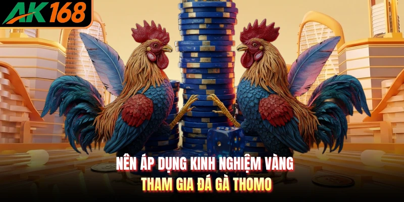 Nên áp dụng kinh nghiệm vàng tham gia đá gà Thomo