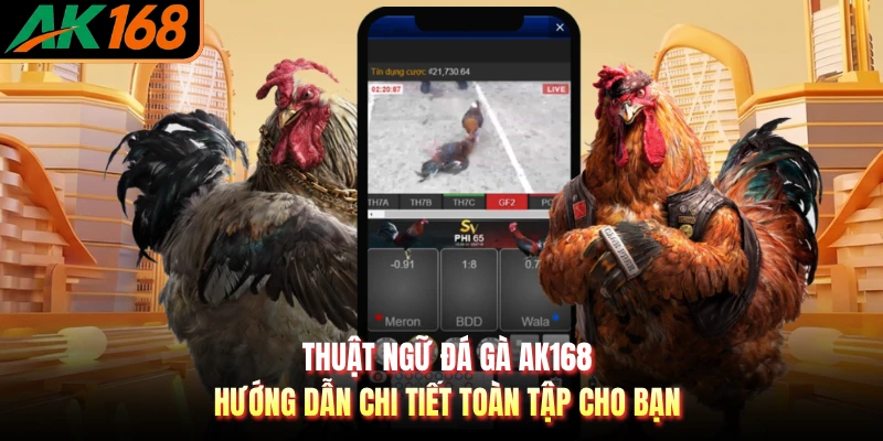 Thuật Ngữ Đá Gà AK168 - Hướng Dẫn Chi Tiết Toàn Tập Cho Bạn