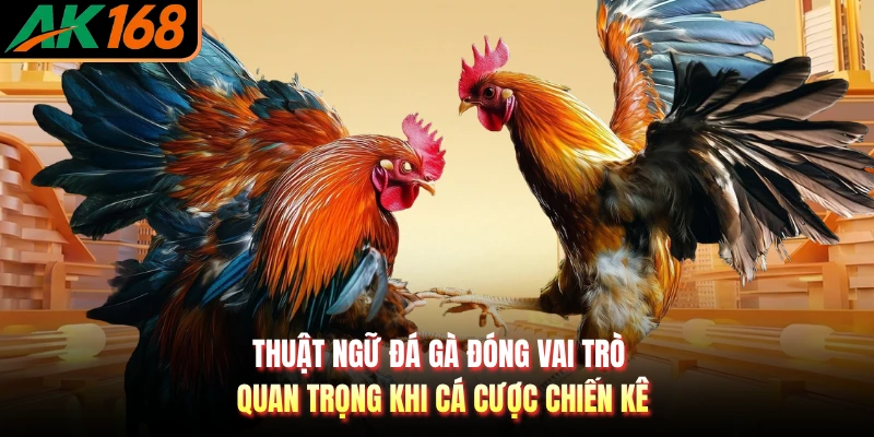 Thuật ngữ đá gà đóng vai trò quan trọng khi cá cược chiến kê