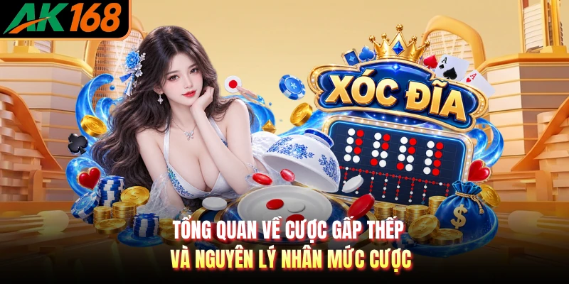 Tổng quan về cược gấp thếp và nguyên lý nhân mức cược