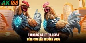 Trang Đá Gà Uy Tín AK168 - Đỉnh Cao Đấu Trường 2026
