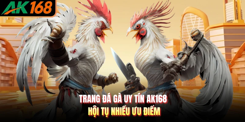 Trang đá gà uy tín AK168 hội tụ nhiều ưu điểm