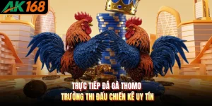 Trực Tiếp Đá Gà Thomo - Trường Thi Đấu Chiến Kê Uy Tín